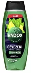 Radox sprch.gel MEN 250ml 2v1 REGENERACE zelený  Akce !!!